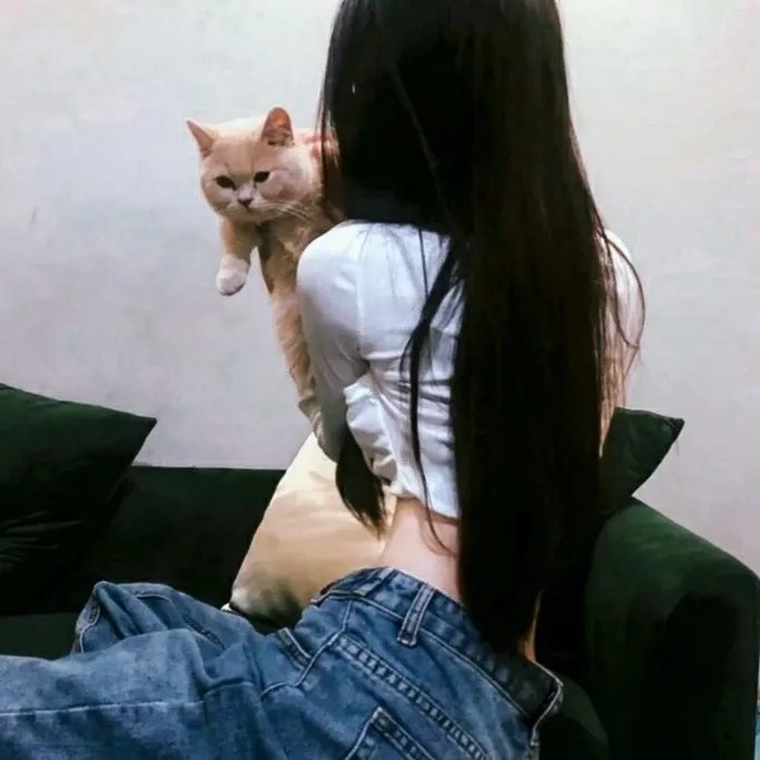 康纳·麦格雷戈：臭名昭著